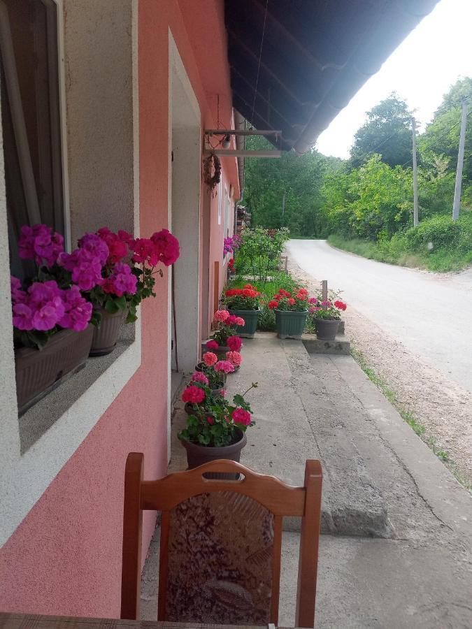 Valja Mare Moma Apartment Голубац Екстериор снимка